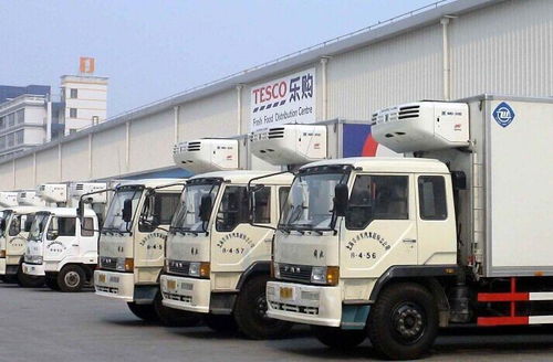湖南益阳沅江冷藏货运公司2021冷冻食品物流运输