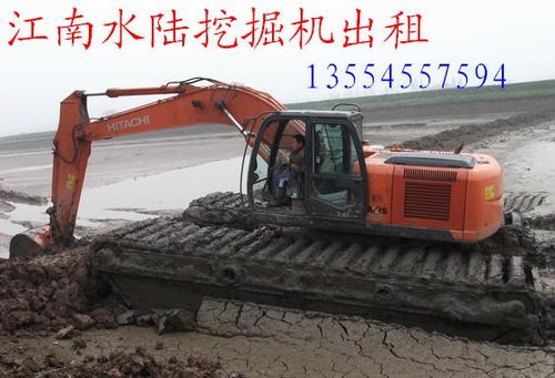 江南梦与创业梦 荆州江南湿地挖掘机出租服务的崛起